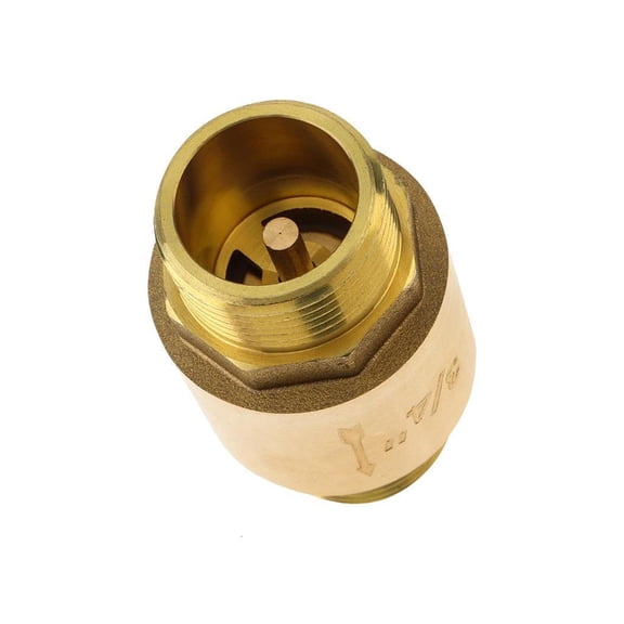 Efficient Brass 3/4 Inch In Line Spring Check Valves Male to Female for Backflow in Well Systems Daily Use