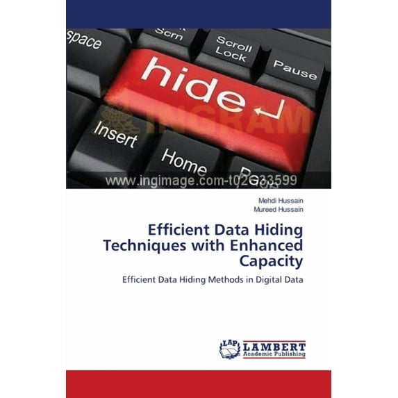 Efficient Data Hiding Techniques with Enhanced Capacity: Efficient Data Hiding Methods in Digital Data Paperback 3659120898 9783659120893 Mehdi Hussain, Mureed Hussain