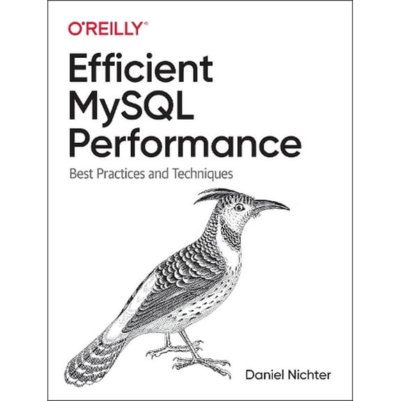 Efficient MySQL Performance: Best Practices and Techniques (Paperback)