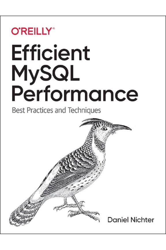 Efficient MySQL Performance: Best Practices and Techniques (Paperback)