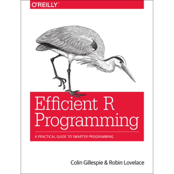 Pre-Owned Efficient R Programming: A Practical Guide to Smarter Programming (Paperback) 1491950781 9781491950784
