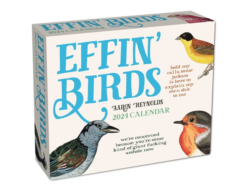 Effin' Birds 2024 DayToDay Calendar (Calendar)