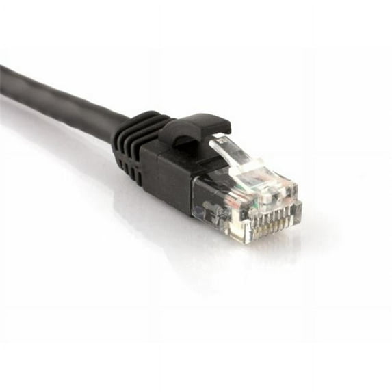Efilliate Reseller 119 7319 CAT6 Patch Cable- 50 ft. - Black