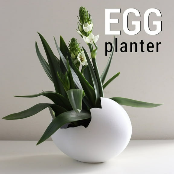 Egg 3D Printed Planter A (3D Printed)