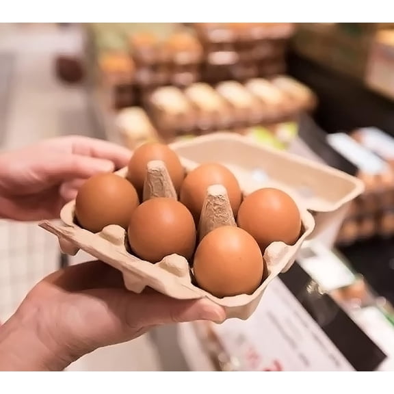 Egg Cartons, Natural Pulp, 6 Count, Reusable, for Chicken and Duck Eggs, Storage Containers for Kitchen and Farmhouse (30 PCS)