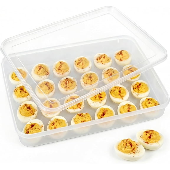 Egg Container with Lid, Egg Tray Holder with Lid 24 Eggs Home Party Kitchen Supplies Refrigerator Storage