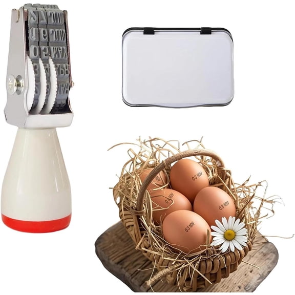 Egg Date Stamp Kit with Ink Pad, Month and Day Stamper for Farm Fresh Eggs Chick