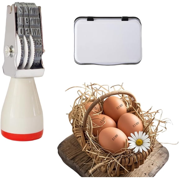 Egg Date Stamp Kit with Ink Pad, Month and Day Stamper for Farm Fresh Eggs Chicken Duck Turkey Goose Poultry Eggs