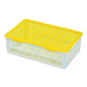 CT Series Incubator Hatching Basket, 15-Slot Divided Tray, Breed Separation when hatching, Fits Any Egg Size, 1-Piece, Poultry Hatching, Incubation