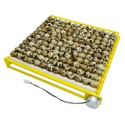 Egg Incubator, 12V Automatic Egg 42/56 Eggs Poultry Hatching with Egg Turning for Chickens Ducks Birds Quail 56Eggs 13Rods