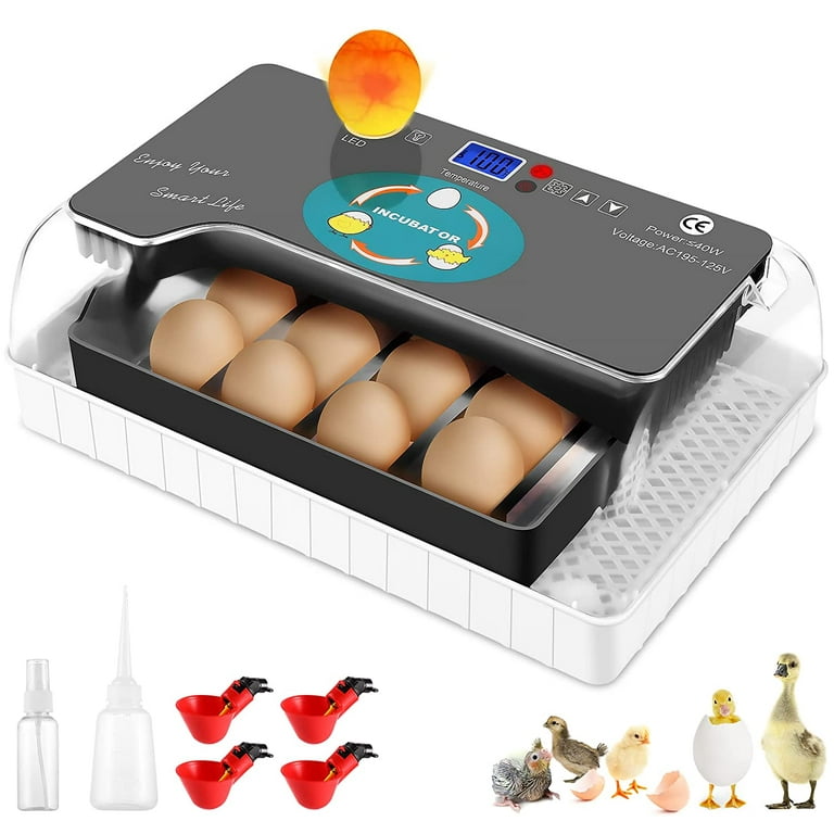 https://i5.walmartimages.com/seo/Egg-Incubator-15-Eggs-Automatic-Incubator-Temperature-Control-Turning-Function-Hatching-Chickens-Ducks-Geese-Quails-Birds-Best-Choice-Children-s-Gift_3e060826-5982-43cb-8029-88b93d3ad7b0.b94c6d2e094490a1402cf0952b62a72d.jpeg?odnHeight=768&odnWidth=768&odnBg=FFFFFF