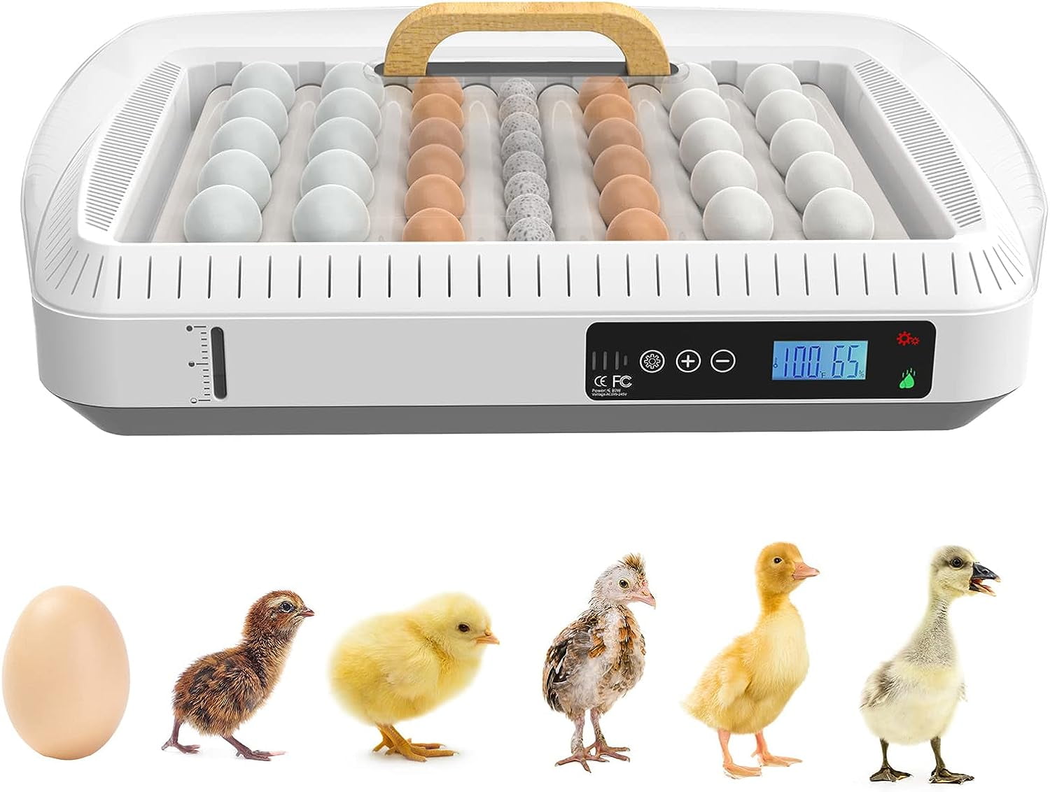 Egg Incubator, 16 Eggs Incubator with Automatic Egg Turning and Humidity Control, Chicken Egg