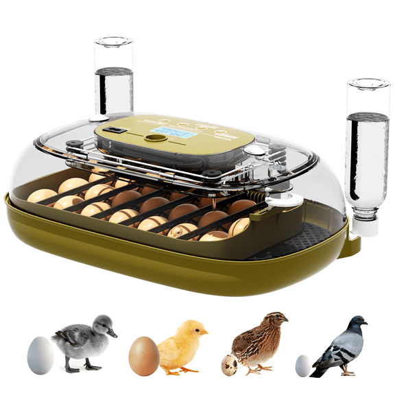 Egg Incubator, 24 Eggs Incubators for Hatching Eggs with Automatic Egg Turning, Egg Candler, Temperature & Humidity Control for Hatching Chicken, Duck, Quail, Goose Eggs