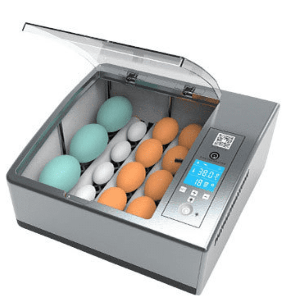 Egg Incubator Automatic Incubator 16 Eggs, Digital with Intelligent