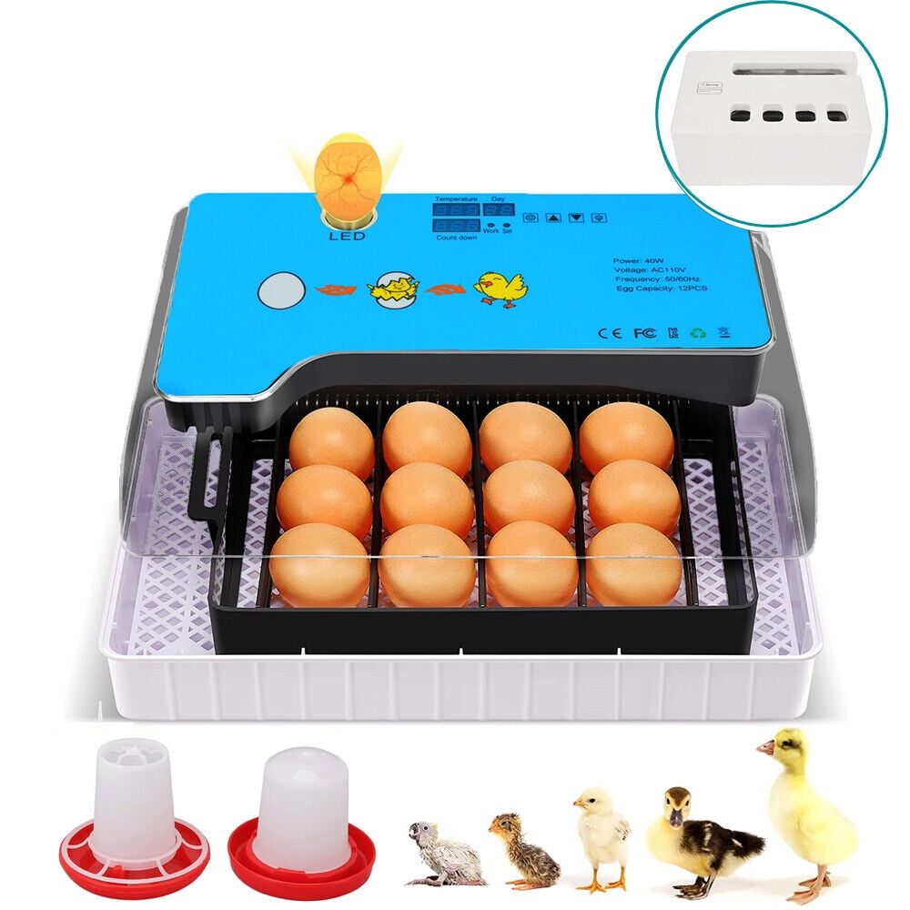 Egg Incubator Automatic Chicken Quail Chick Hatcher Incubators for ...