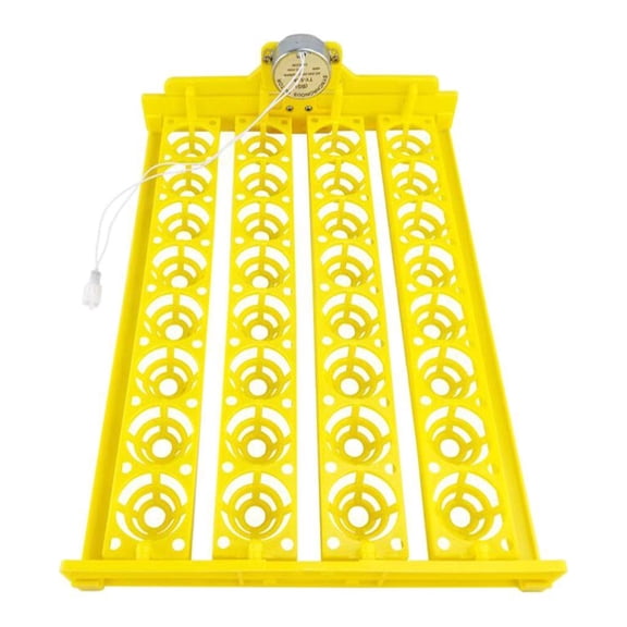 Egg Incubator, Automatic Egg Turner Tray, Egg Hatcher Mhine, Hatching 32 Eggs Poultry Temperature Control for Duck Quail Birds 12V