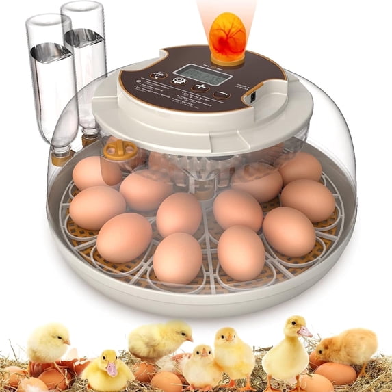 Egg Incubator with Automatic Egg Turning and Humidity Display, 18-26 Incubators for Chicken Eggs, Egg Candler, 360° View Window for Farm Hatching Chicken Quail Ducks
