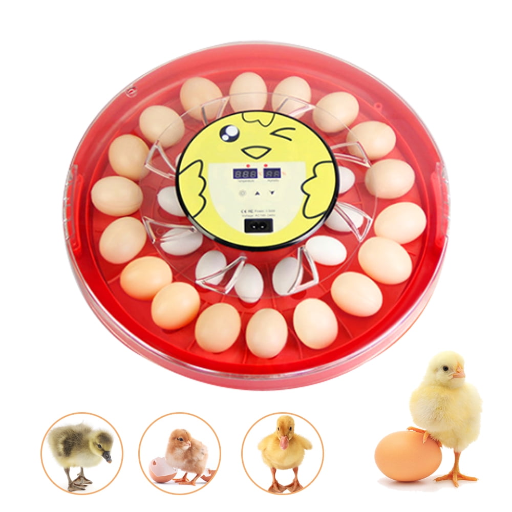 Egg Incubator with Automatic Egg Turning, Mini Digital Incubator for