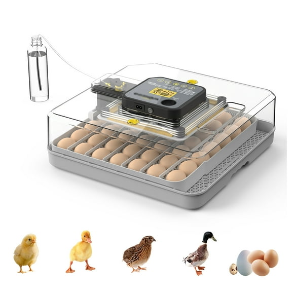 Egg Incubator for Chicken, Quail & Parrot Eggs - Automatic Turning, Humidity Control & Temperature Display - 360 View Poultry Hatcher - Large Capacity for Hatching & Brooding Grey+Transparent + ABS