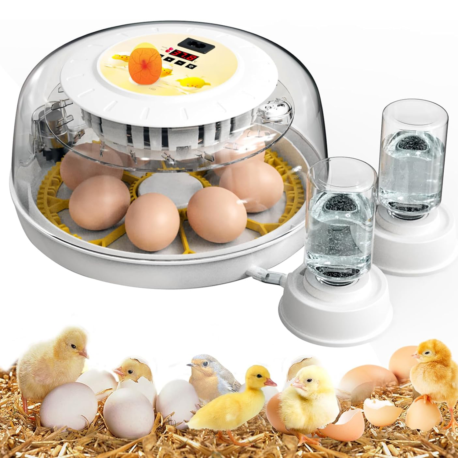 Adnoom Egg Incubator, Incubating 16-35 Eggs, with Automatic Turning
