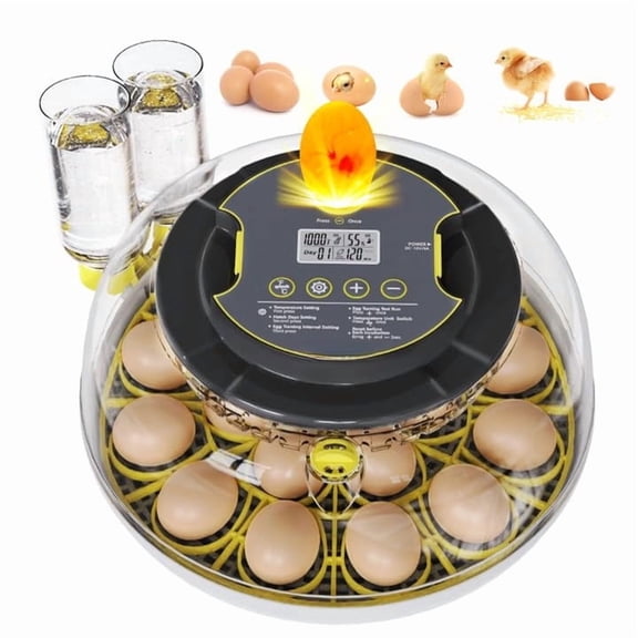 Egg Incubator for Hatching Eggs 20-Egg Capacity with Automatic Egg Turner, Temperature & Humidity Control, LED Egg Candler, 360 Viewing for Chicken, Duck, Quail & Goose Parrot & Pigeon