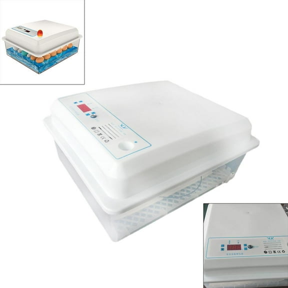 Egg Incubator Temperature Control for Hatching Eggs Chicken Birds Family Use
