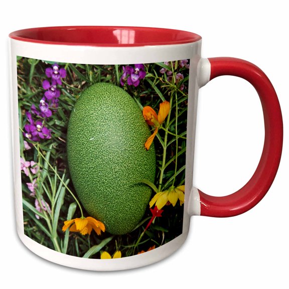 3drose, Egg of Cassowary Bird, Papua New Guinea - Oc12 Ksu0106 - Keren Su, 11oz Two-tone Red Mug