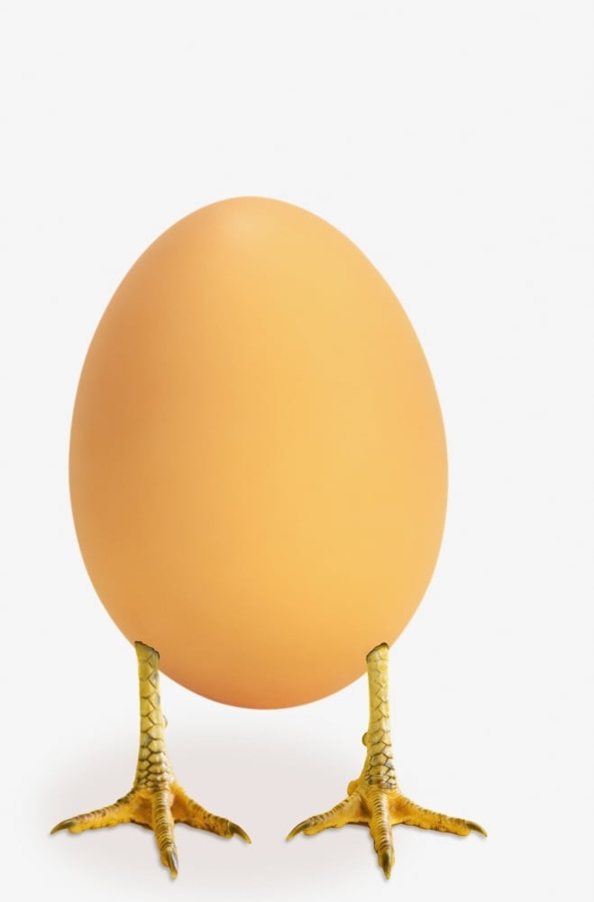 Egg with bird legsBritish columbia canada Canvas Art - Thomas Kitchin & Victoria Hurst Design Pics (12 x 19)