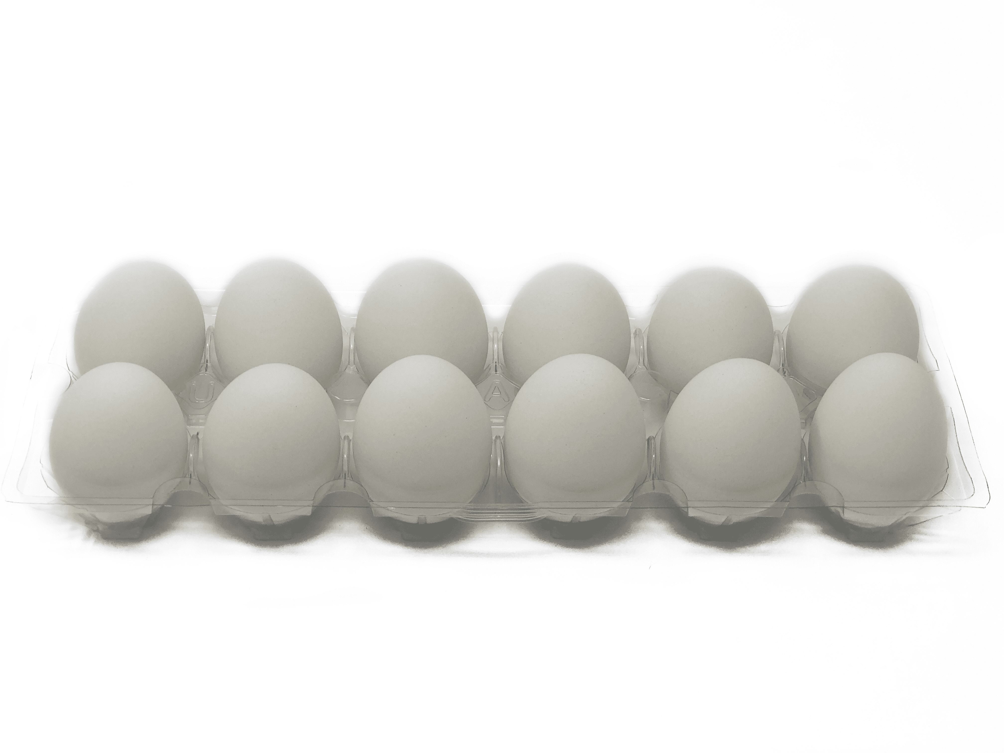 Eggcetera Ceramic Nest Eggs Easter Fake Dummy Nesting Chicken Eggs Decor (White) - 12 Pack