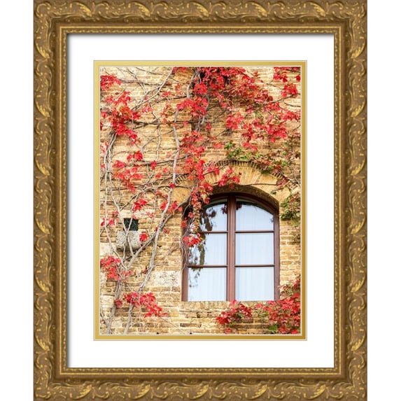 Eggers, Julie 12x14 Gold Ornate Wood Framed with Double Matting Museum Art Print Titled - Italy-Chianti Red climbing ivy vine on a stone wall