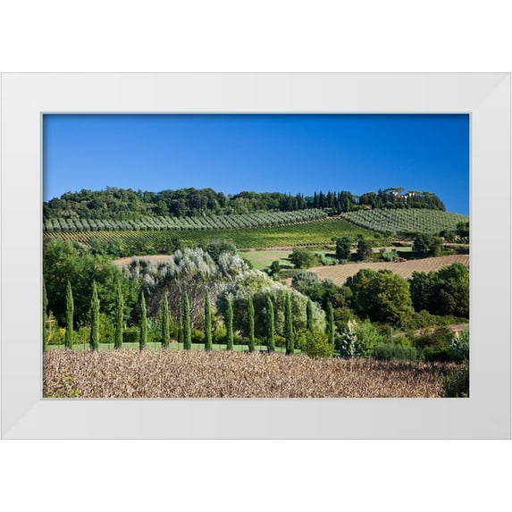 Eggers, Julie 14x11 White Modern Wood Framed Museum Art Print Titled - Italy-Tuscany Villa on hillside surrounded with olive trees and vineyard