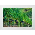 thumbnail image 1 of Eggers, Julie 14x11 White Modern Wood Framed Museum Art Print Titled - Italy-Tuscany Vineyard with grapes on the vine and small shed in the field, 1 of 4