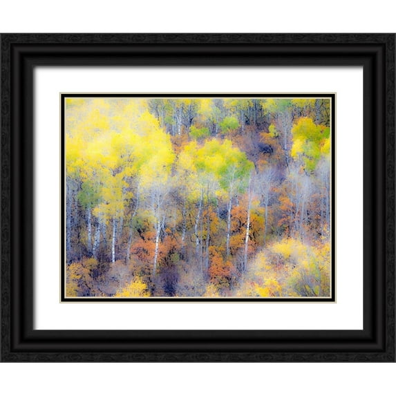 Eggers, Julie 14x12 Black Ornate Wood Framed with Double Matting Museum Art Print Titled - Colorado-San Juan Mts Yellow and orange fall aspens in Gunnison National forest