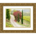 thumbnail image 1 of Eggers, Julie 14x12 Gold Ornate Wood Framed with Double Matting Museum Art Print Titled - Italy-Chianti Gravel road winding through a vineyard in autumn in the Chianti region of Tuscany, 1 of 4