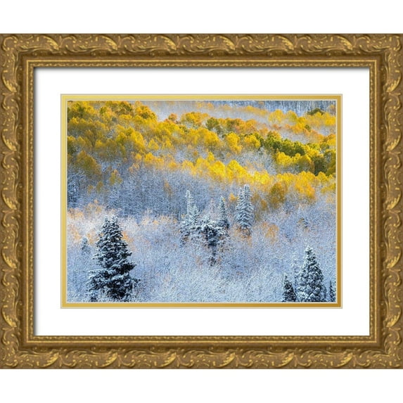 Eggers, Julie 14x12 Gold Ornate Wood Framed with Double Matting Museum Art Print Titled - Colorado-San Juan Mts Fresh snow on aspens in the fall