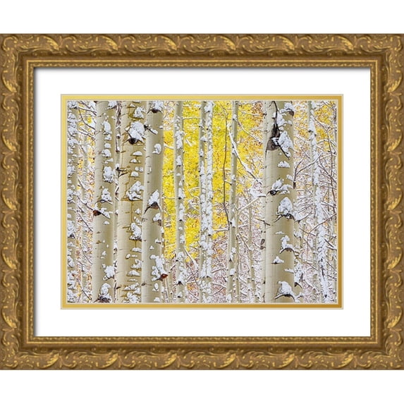 Eggers, Julie 14x12 Gold Ornate Wood Framed with Double Matting Museum Art Print Titled - Colorado-San Juan Mts Fresh snow on aspens in the fall