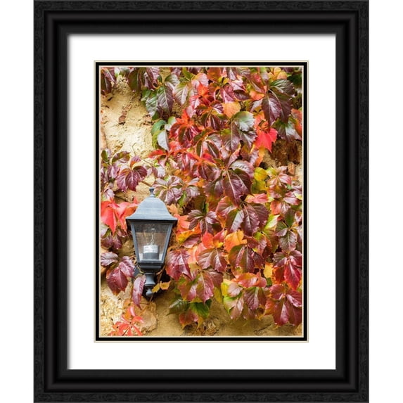 Eggers, Julie 15x18 Black Ornate Wood Framed with Double Matting Museum Art Print Titled - Italy-Chianti Climbing vine in fall colors and exterior lamp against a stone wall