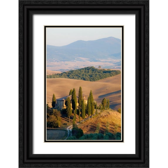 Eggers, Julie 17x24 Black Ornate Wood Framed with Double Matting Museum Art Print Titled - Italy-Tuscany Belvedere House-Olive trees-and vineyards near San Quirico dOrcia