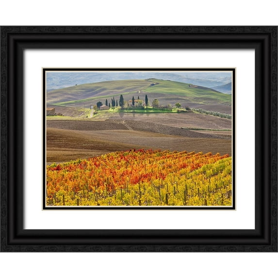 Eggers, Julie 18x14 Black Ornate Wood Framed with Double Matting Museum Art Print Titled - Italy-Tuscany Colorful vineyard in autumn
