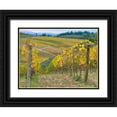 thumbnail image 1 of Eggers, Julie 18x14 Black Ornate Wood Framed with Double Matting Museum Art Print Titled - Italy-Tuscany Vineyard near Radda in Chianti in the fall, 1 of 4
