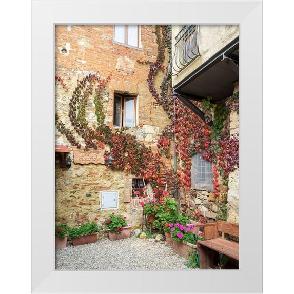 Eggers, Julie 19x24 White Modern Wood Framed Museum Art Print Titled - Italy-Chianti Back street alleyway with fall colored climbing vine