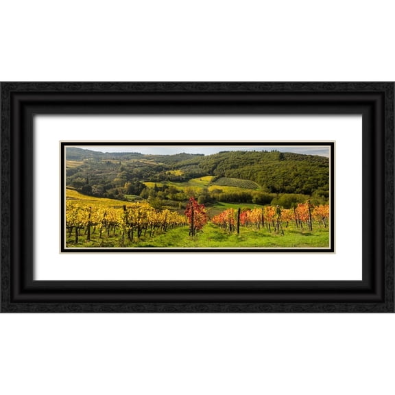 Eggers, Julie 24x12 Black Ornate Wood Framed with Double Matting Museum Art Print Titled - Italy-Tuscany Panoramic view of a colorful vineyard in the Tuscan landscape