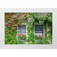 thumbnail image 1 of Eggers, Julie 24x17 White Modern Wood Framed Museum Art Print Titled - Italy-Venice A pair of windows with red ivy geraniums and ivy climbing the walls, 1 of 4