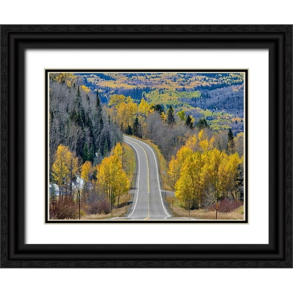 Eggers, Julie 24x19 Black Ornate Wood Framed with Double Matting Museum Art Print Titled - Colorado An empty Colorado highway 145 in midday surrounded by fall color near Telluride-Colorado