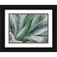 thumbnail image 1 of Eggers, Julie 24x19 Black Ornate Wood Framed with Double Matting Museum Art Print Titled - California-San Diego Agave plant (Agavaceae), 1 of 4