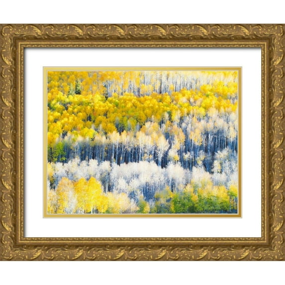 Eggers, Julie 24x19 Gold Ornate Wood Framed with Double Matting Museum Art Print Titled - Colorado-Maroon Bells-Snowmass Wilderness Fall colors on Aspen trees