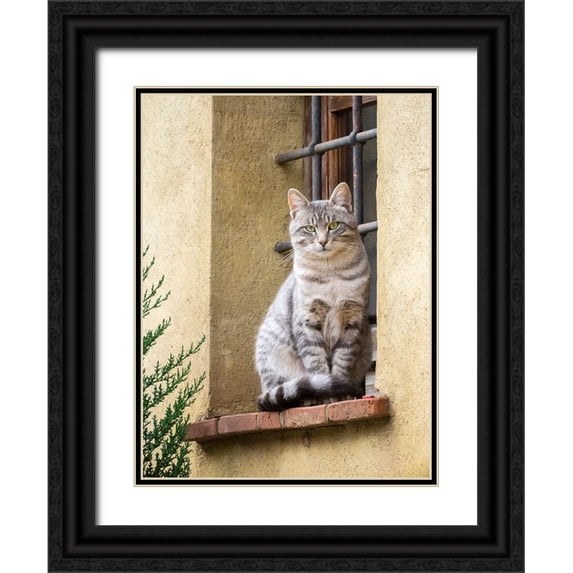 Eggers, Julie 25x32 Black Ornate Wood Framed with Double Matting Museum Art Print Titled - Italy-Tuscany-Pienza Cat sitting on a window ledge along the streets
