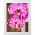 thumbnail image 1 of Eggers, Julie 25x32 White Modern Wood Framed Museum Art Print Titled - China-Hong Kong Orchids on display at a flower market, 1 of 4