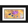 thumbnail image 1 of Eggers, Julie 32x16 Black Ornate Wood Framed with Double Matting Museum Art Print Titled - US-Michigan-Upper Peninsula Leaf and rocks in pond with autumn colors reflection, 1 of 4