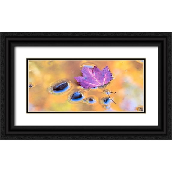 Eggers, Julie 32x16 Black Ornate Wood Framed with Double Matting Museum Art Print Titled - US-Michigan-Upper Peninsula Leaf and rocks in pond with autumn colors reflection